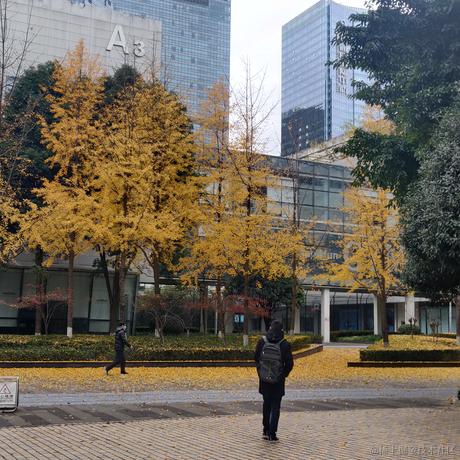 Java永不加班于2020-12-14 10:12发布的图片