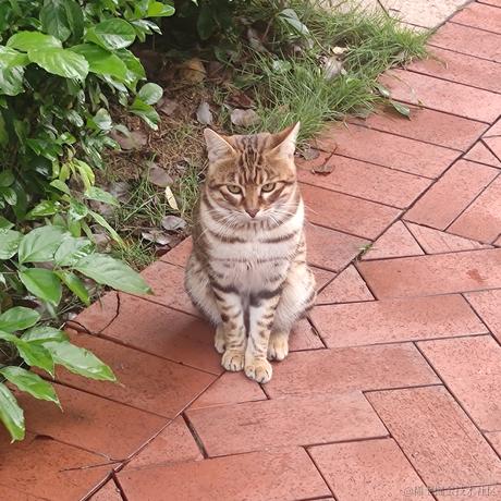 地狱拖拉机于2022-11-09 13:20发布的图片