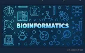 生物信息