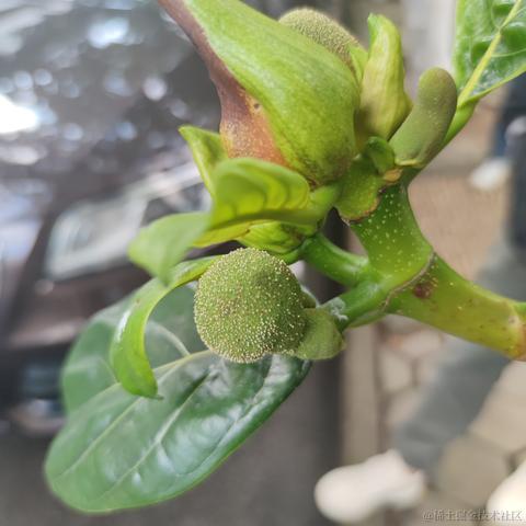 奔跑的水瓜于2022-02-22 09:44发布的图片