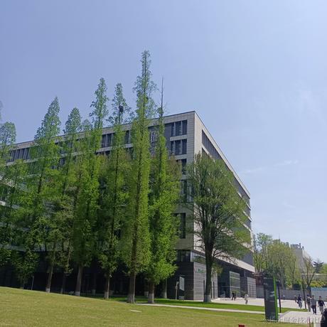 绝望鸭脖于2023-04-10 19:02发布的图片