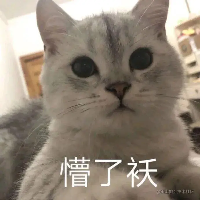 1ECABDCF347162365B48A84CF5FC1309.png