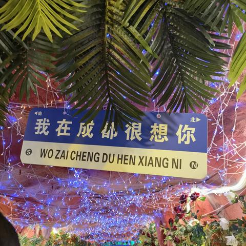 webxue于2023-02-26 23:02发布的图片