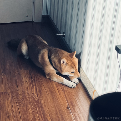 丢你去喂鱼于2022-12-11 18:00发布的图片