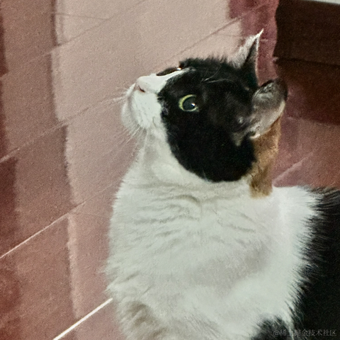 逃离月球表面于2023-05-14 21:18发布的图片