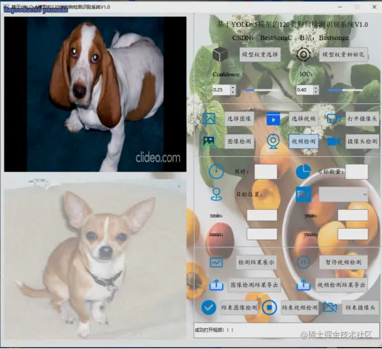 基于YOLOv5模型的120类狗狗检测识别系统V1.02407.png