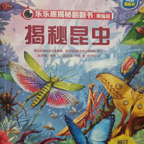 跟我一起秃秃秃于2022-12-13 12:59发布的图片