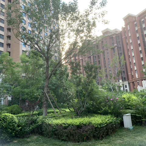 卢卡多多于2021-07-27 21:27发布的图片