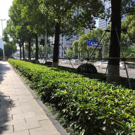 伦伦吖于2022-06-16 10:08发布的图片