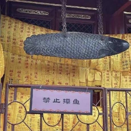 礼格表于2023-08-03 10:39发布的图片