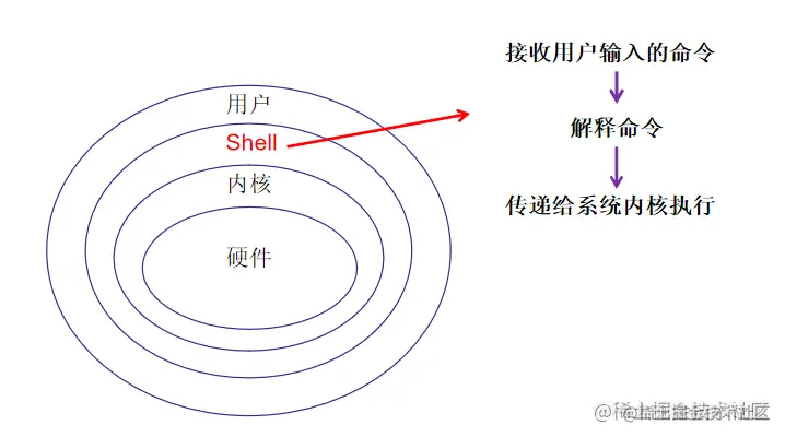 Shell基础概述和变量 掘金