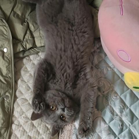 漾雾于2023-05-25 17:29发布的图片