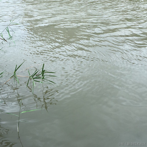 吃饭不擦嘴于2021-07-17 11:17发布的图片