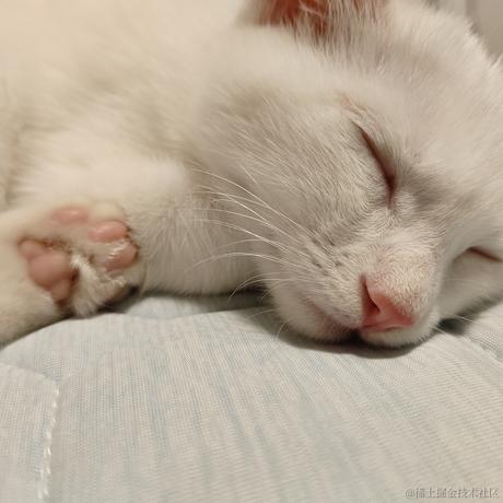 旺仔米苏于2023-06-04 09:45发布的图片