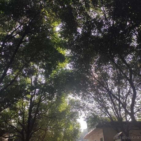 哔哔姬于2023-06-29 07:54发布的图片