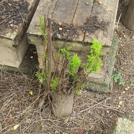 打卡二十一天于2023-06-24 18:35发布的图片