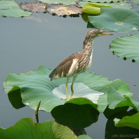 日月昭昭于2023-05-19 10:34发布的图片
