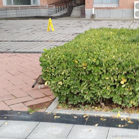 好好学习捏于2022-11-24 09:05发布的图片