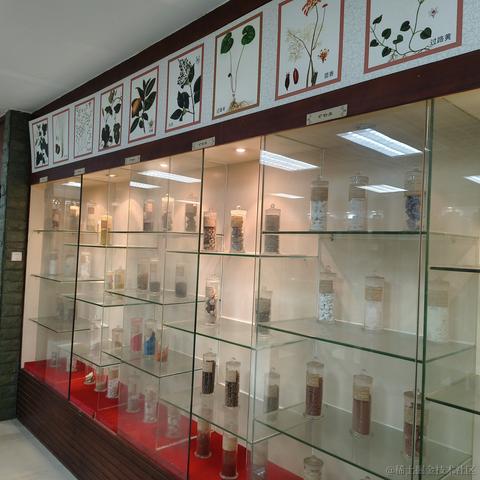 千岁归鹤于2022-11-26 15:06发布的图片