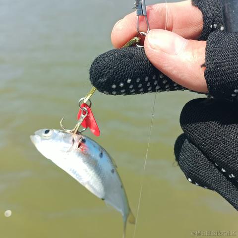 莫奈子于2022-10-12 13:10发布的图片