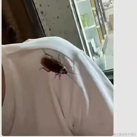 你也是ikun吗于2023-05-12 09:49发布的图片