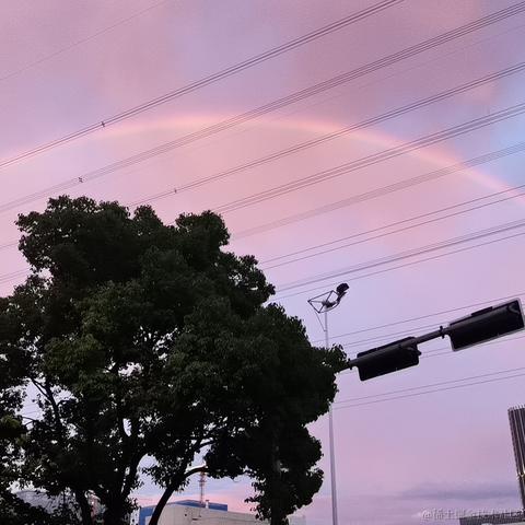 FE_C_P小麦于2024-07-02 19:08发布的图片