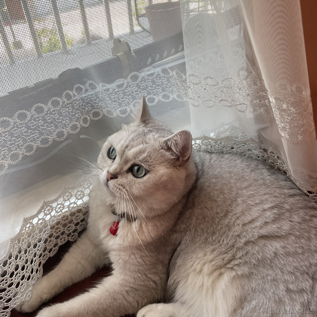 Gangangan于2023-07-23 19:41发布的图片