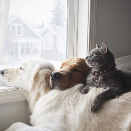 今天你吃饱了吗于2021-11-22 11:18发布的图片