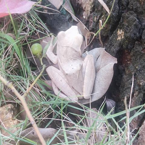 猫雷最强于2022-11-10 16:50发布的图片