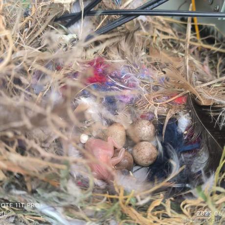 那又如何king于2023-06-05 16:34发布的图片