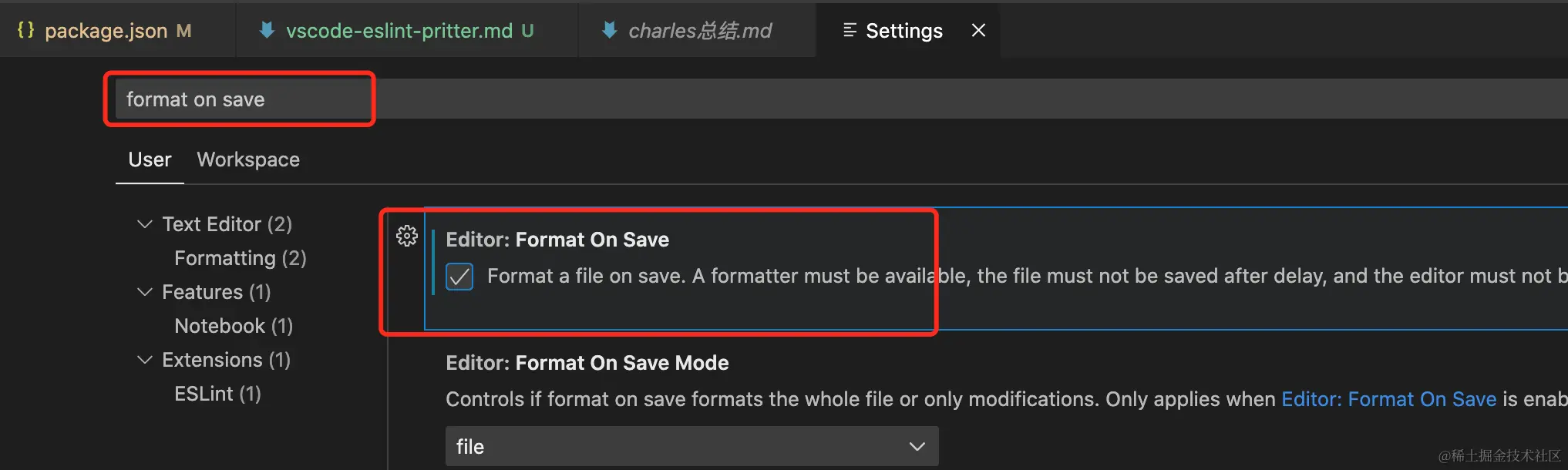 format-on-save.png