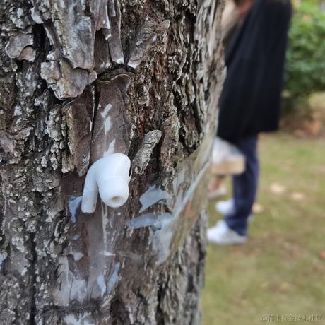 鸳鸯火锅鱼于2022-11-25 19:29发布的图片