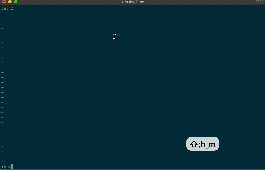 vim.day2.help-more.gif