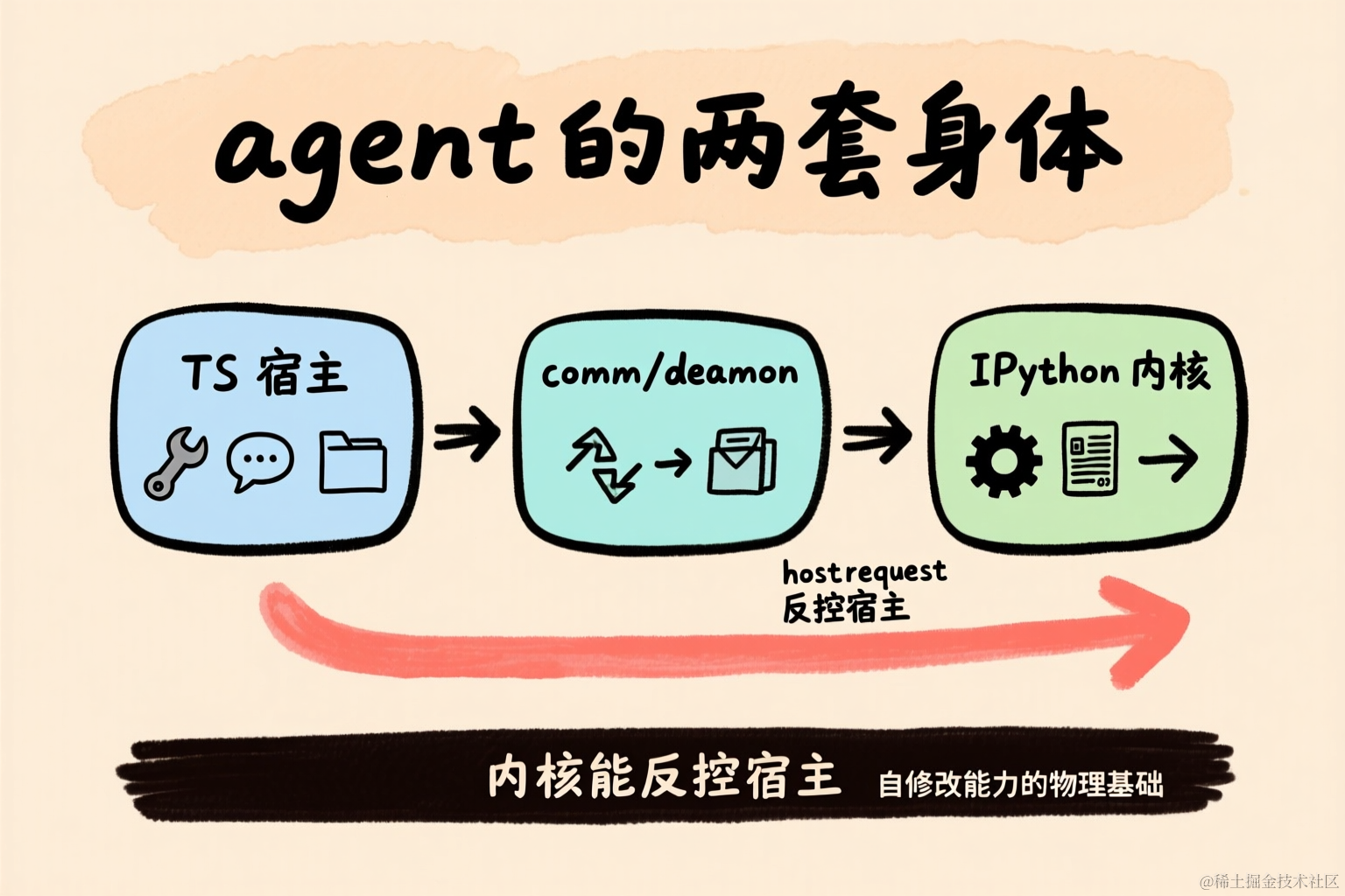 双身体结构