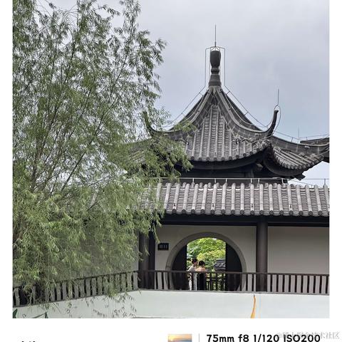 biboom于2024-06-01 12:01发布的图片