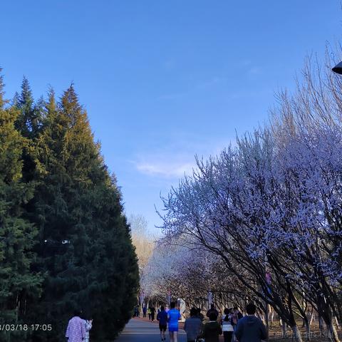 私涙洇于2023-03-30 10:39发布的图片