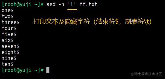 4 打印文本及隐藏字符.png