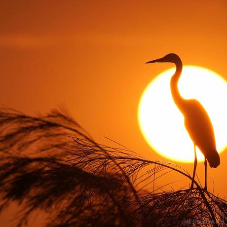 Rockbean于2023-02-03 14:35发布的图片