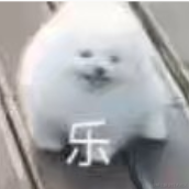 高能信息学学徒于2022-11-25 22:13发布的图片