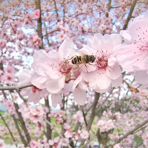 用户7186131603423于2023-05-10 18:59发布的图片