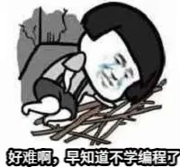 好难 不该学编程的.jpg