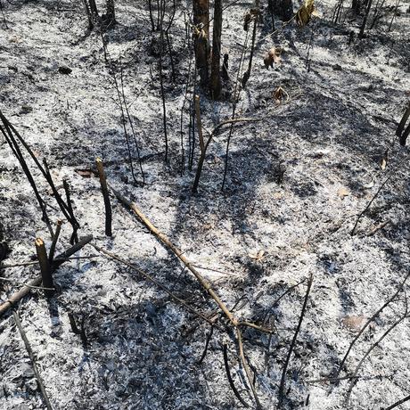 我想中奖于2022-04-13 15:00发布的图片