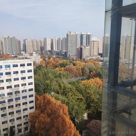 蓝冠青鸟于2022-11-22 14:59发布的图片