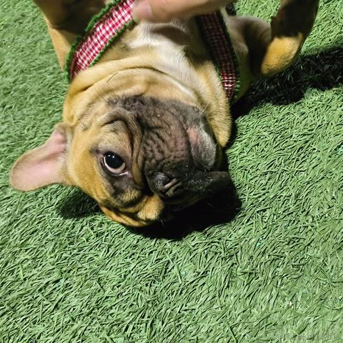 代码大师于2023-03-30 19:46发布的图片