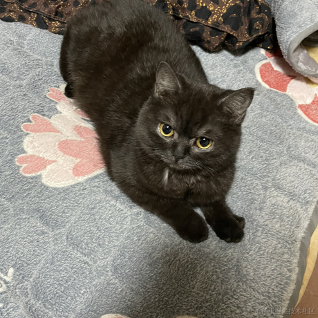 heronCCC于2023-05-28 14:07发布的图片