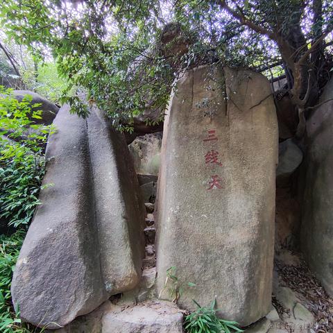 优秀稳妥的金枪小魔王于2022-09-12 09:57发布的图片