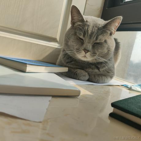 北冥养条鱼于2022-11-24 12:54发布的图片