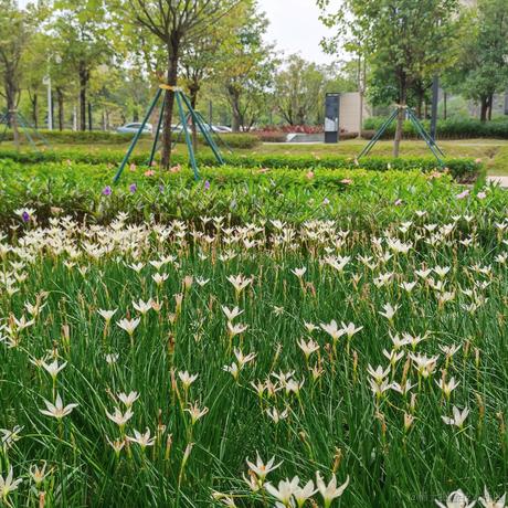 albri于2022-11-14 16:29发布的图片