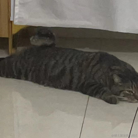 偷偷偷偷偷偷偷偷偷偷偷偷偷偷偷偷偷偷偷偷于2022-10-28 10:52发布的图片