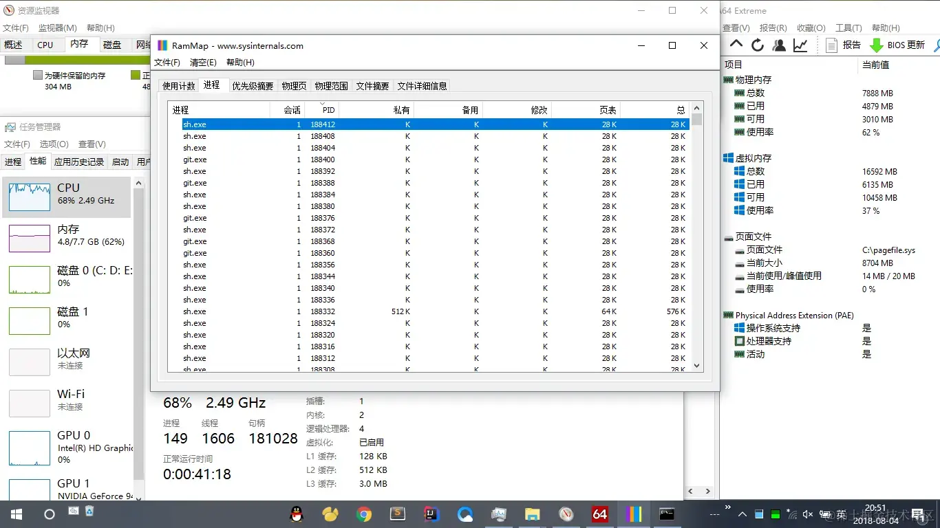 RAMMap 中进程标签页